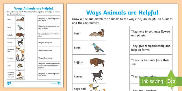 Ways Animals are Helpful Activity (Teacher-Made) - Twinkl