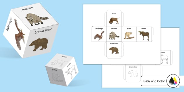 North American Animal Dice Net (teacher made) - Twinkl