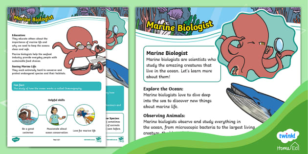 Marine Biologist Fact File F-2 (Teacher-Made) - Twinkl