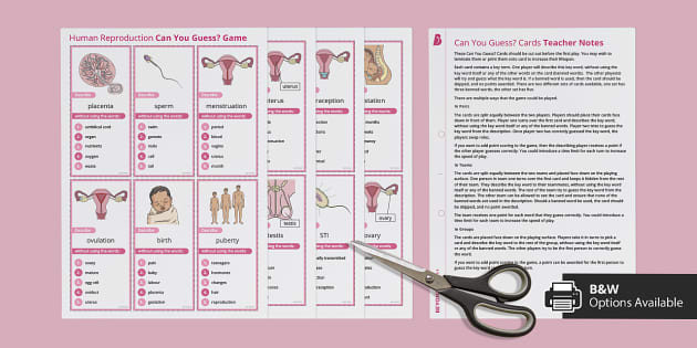 Human Reproductive System Game (teacher made) Twinkl