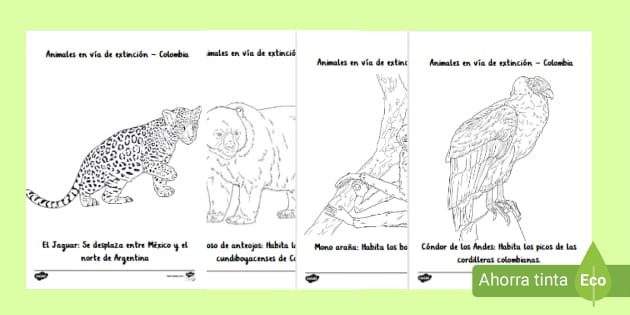 Hojas para colorear: animales en vía de extinción Colombia: Día de la ...