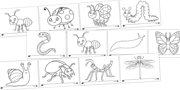 Colouring Book With Simple Pictures For 3-6 years Kids/For