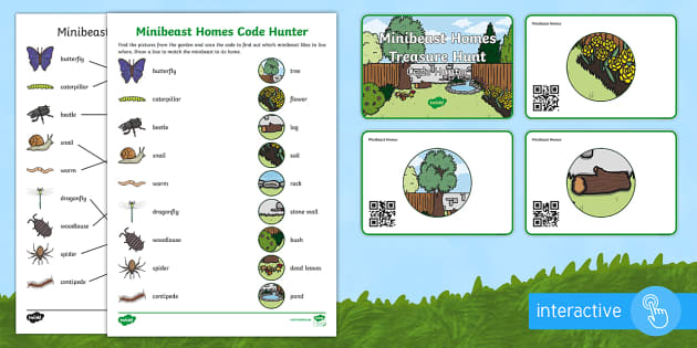 Minibeast Homes Code Hunter - Twinkl