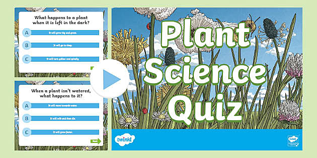 Plants Science Powerpoint Quiz Teacher Made