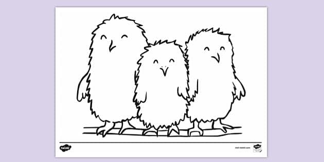 Baby Owls Colouring Sheet Colouring Sheets Twinkl