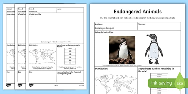 Facts About Endangered Animals | KS2 Research Activity