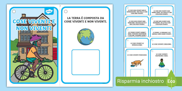 Lettura e comprensione BES Cose viventi (teacher made)