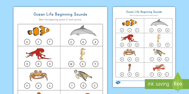 ocean life beginning sounds activity worksheet