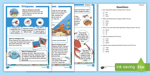 Octopus Differentiated Reading Comprehension Ages 5-7