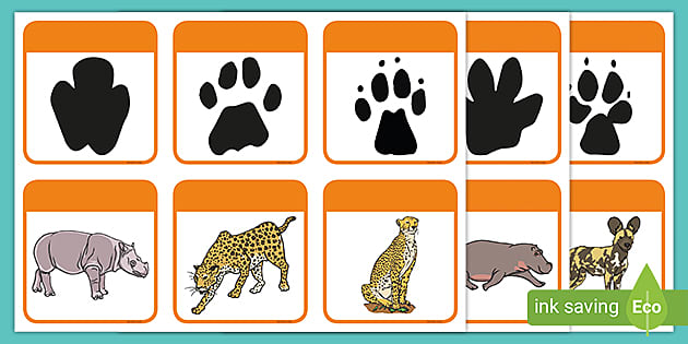 Free Animal Tracks Matching Game Printables  Animal tracks, Animal  footprints, Animal activities