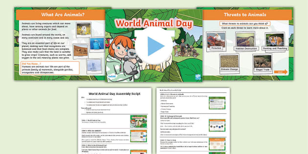 World Animal Day Whole School Assembly Pack (teacher made)