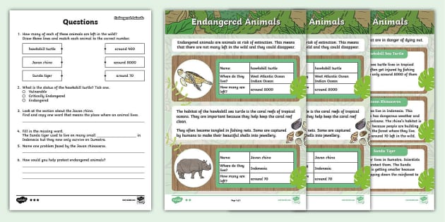 KS1 Endangered Animals Differentiated Reading Comprehension