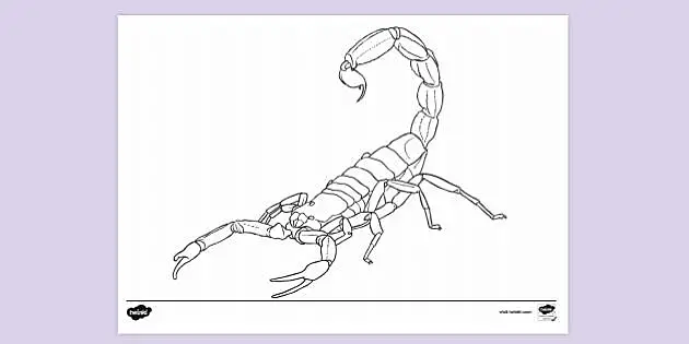 get over here scorpion coloring pages