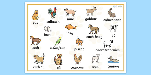 scottish-gaelic-pets-word-mat-hecho-por-educadores