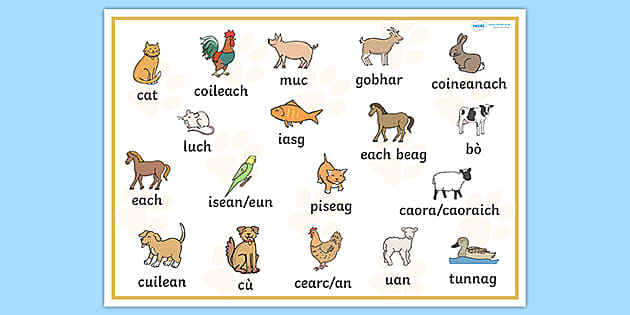 Scottish Gaelic Pets Word Mat Hecho Por Educadores 