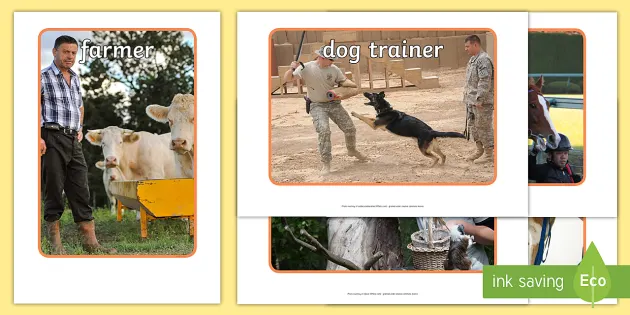 Working with Animals Display Photos - Primary Resources