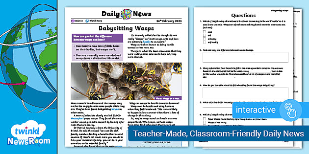 Interactive PDF: Daily NewsRoom Story - Babysitting Wasps (ages 9-11)