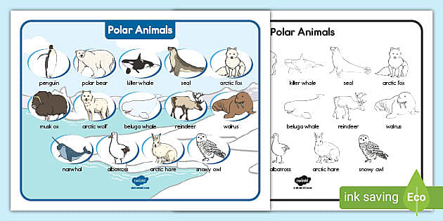 Polar Animals Names Habitat Word Mat | K-2 Life Science