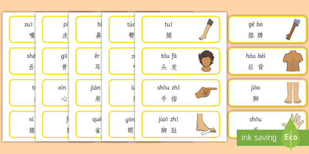 身体部位词汇卡片 拼音 身体部位 头 嘴 嘴唇 眼睛 胳膊 展示海报 拼音
