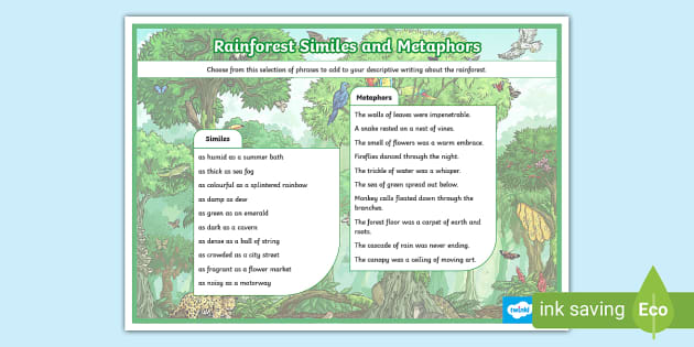 how to describe a rainforest in creative writing