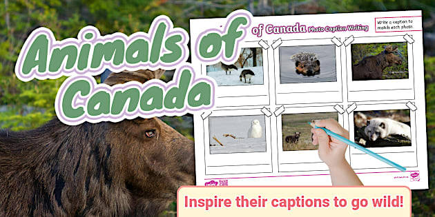 Animals of Canada Photo Caption Writing Template