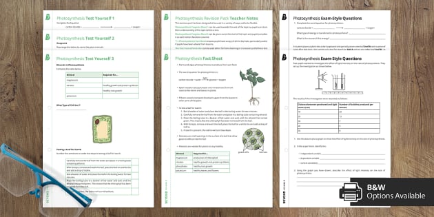 ks3 photosynthesis worksheet pdf