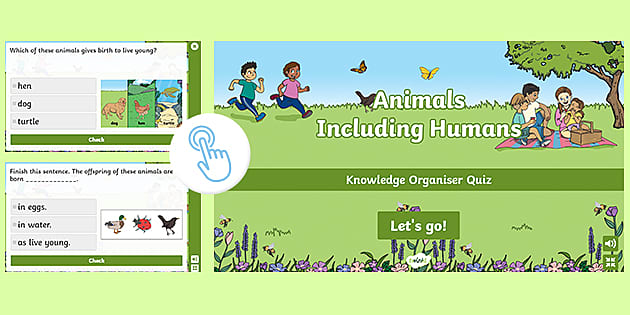 Interactive Animal Quiz For Kids | Year 2 Science Retrieval
