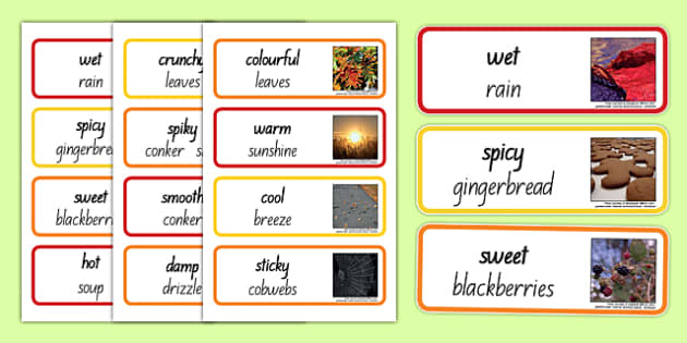 Autumn Senses Word Cards Teacher Made Twinkl