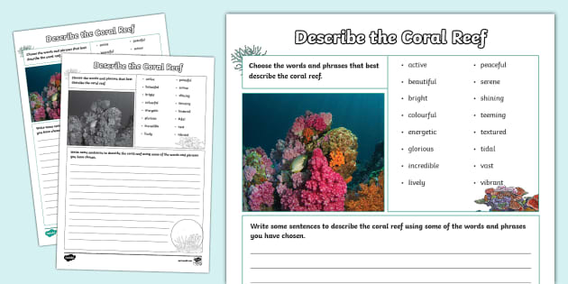 Describe the Coral Reef Worksheet (teacher made) - Twinkl