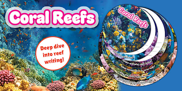 Science Cv Examples Uk Coral Reefs Circles Booklet