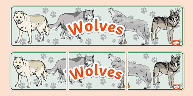 Wolves Classroom Display Banner (teacher made) - Twinkl