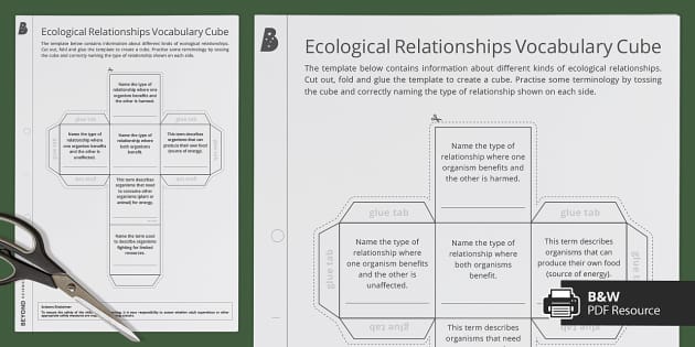 Ecological Relationship Vocabulary Cube (teacher made)