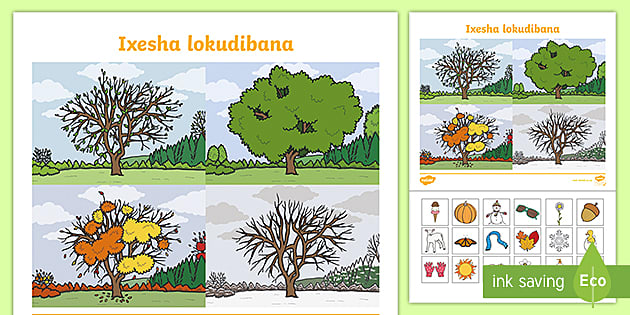 free xhosa for beginners classroom display pack