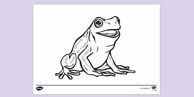 Preview of a frog colouring page.