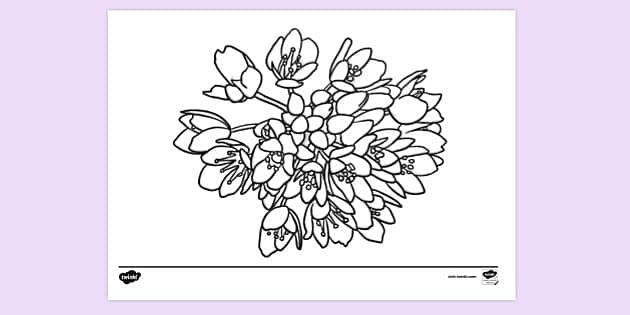 FREE! - Allium Colouring Sheet (teacher made) - Twinkl