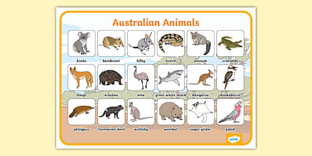 Native Australian Animals With Words Mat - Twinkl