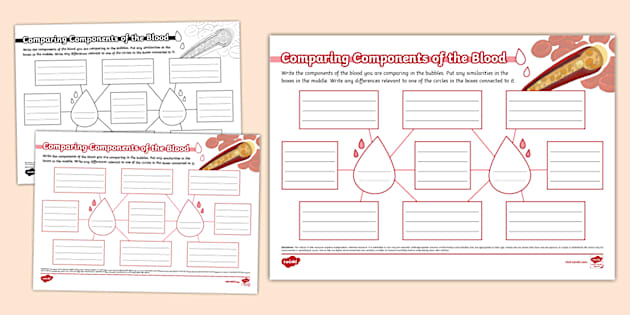 Comparing Components of the Blood Mind Map (teacher made)