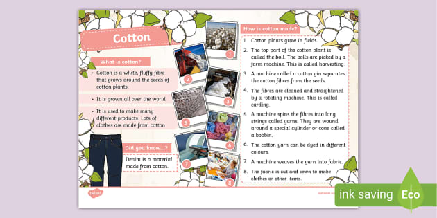 Cotton Fact File - Materials - KS1 - Twinkl