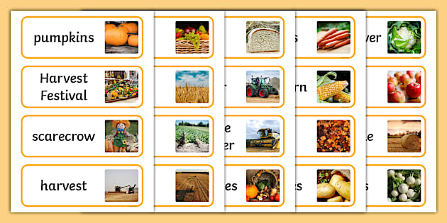 Harvest Topic Photo Word Cards | Twinkl - Twinkl