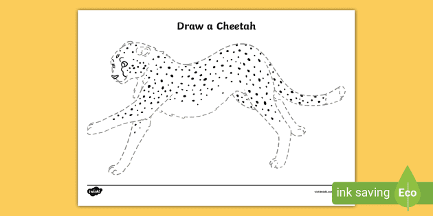 Lu Acqua Cheetah Sports Bra