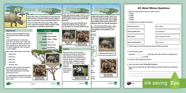 UKS2 All About Rhinos Differentiated Reading Comprehension