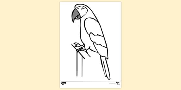 How to draw a parrot- in easy steps for children – parrot Coloring Pages  For kids - Drawing Centre For Kids - Quora