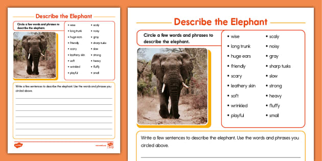 creative writing on elephant for class 1