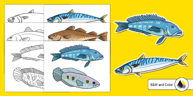 Fish Clip Art Cut-Outs (teacher made) - Twinkl