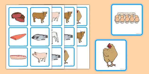 Animals and Their Produce Matching Cards (teacher made)