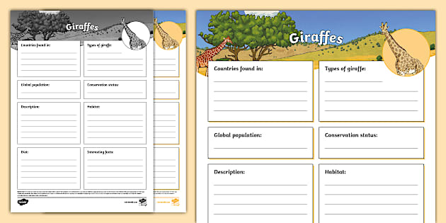 KS2 Giraffes Fact File Template (Teacher-Made) - Twinkl