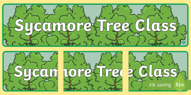 Sycamore Themed Classroom Display Banner (teacher made)