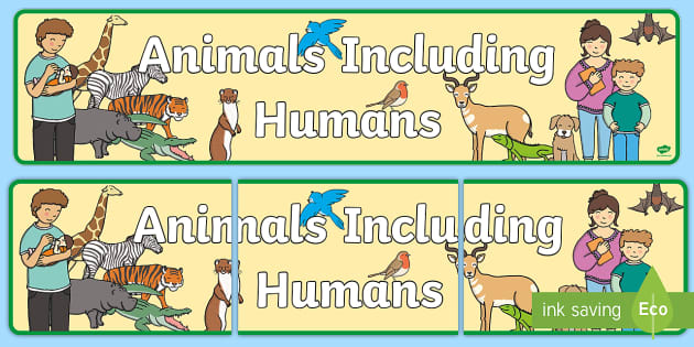 Free Animals Including Humans Display Banner