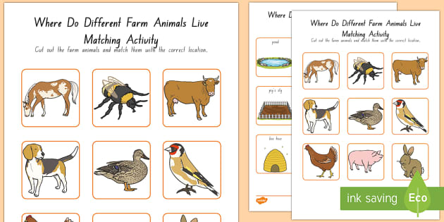 Where Do Different Farm Animals Live Match Activity - australia