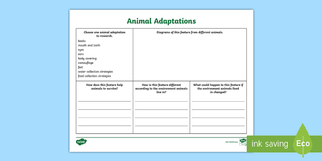 Animal Adaptations Research Activity (Teacher-Made) - Twinkl